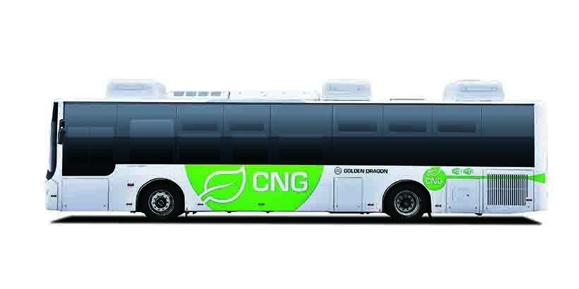 Golden Dragon Gas City Bus Series - Pioneering Urban Mobility